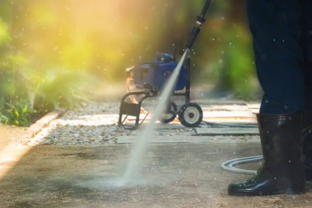 Best Soft Washing for Delicate Surfaces in Dewitt, IA